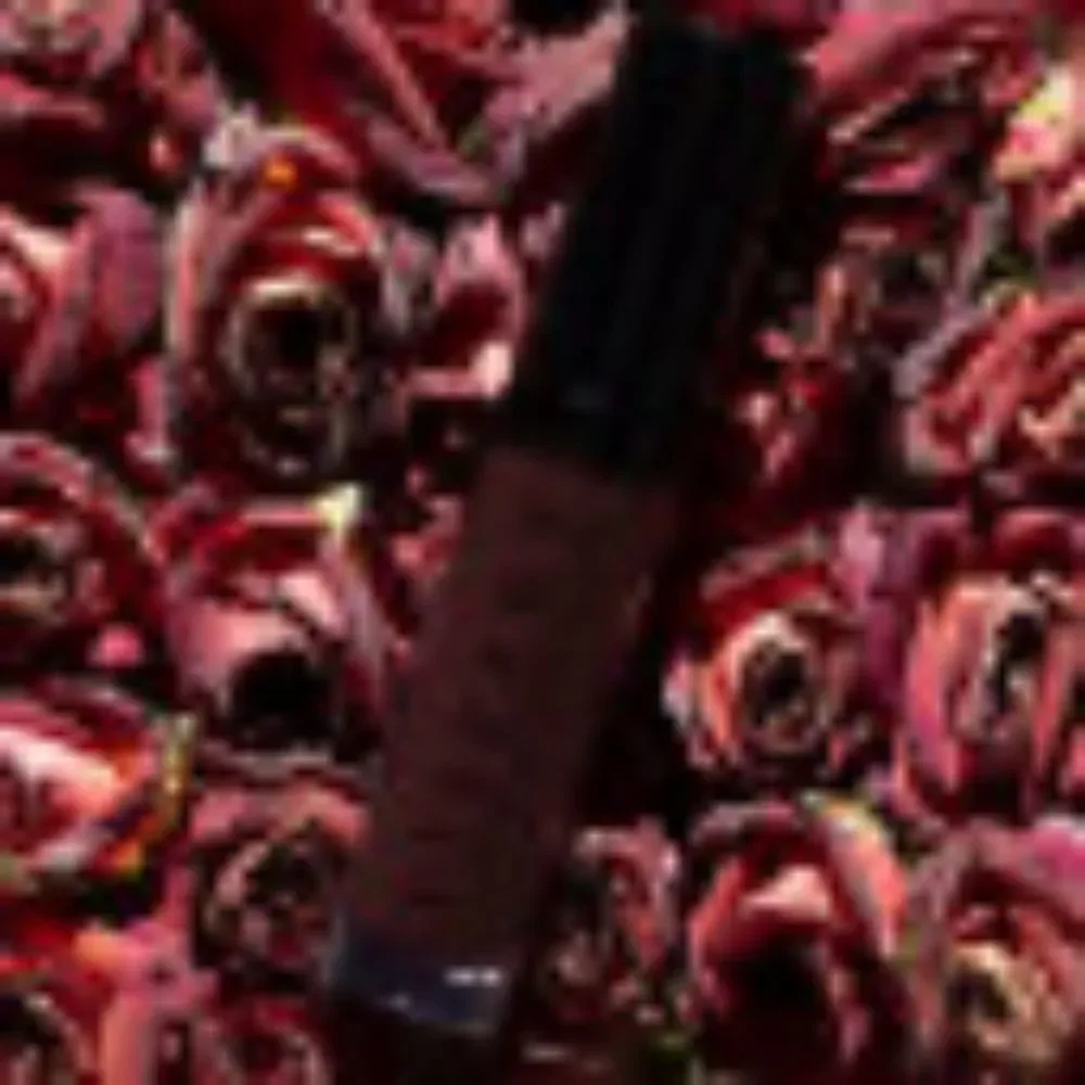 NIB Viseart Cerise Moisture Boost Lip Shine